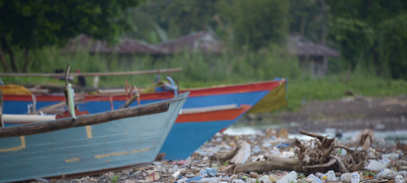 Pollution from farming and harbours imperils coastal habitats: new report Photo: The Ocean Agency