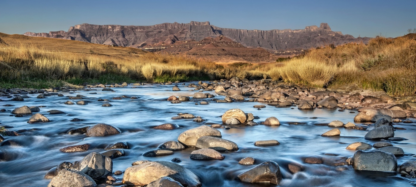 In South Africa, reversing land degradation would lead to economic gains: new study Shutterstock /Jane Turpie