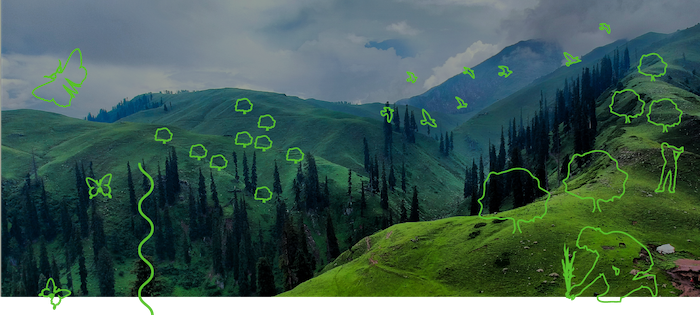 El Día Mundial del Medio Ambiente 2021 lanza una campaña mundial para restaurar la naturaleza Unsplash/Muhammad Khubaib Sarfraz