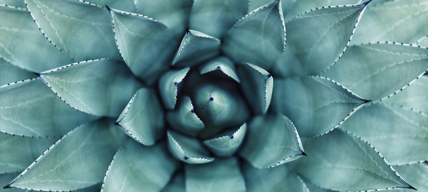Sustainability is in the best interests of business Photo by Erol Ahmed/ Unsplash