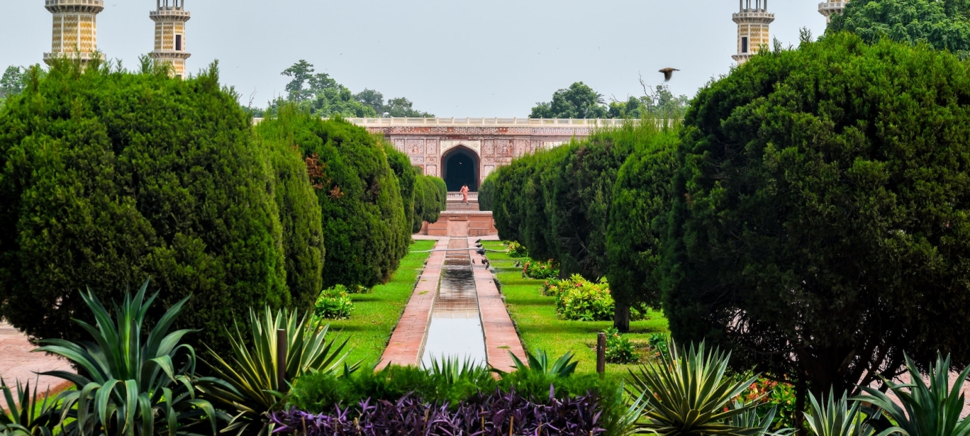 Pakistan’s Ten Billion Tree Tsunami Huzaifa Tariq/Unsplash