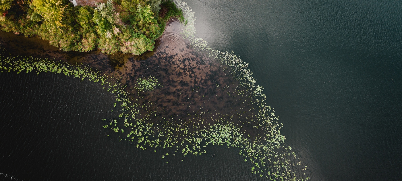 Restoration is a remarkable solution to environmental challenges Photo by ivan-bandura_unsplash
