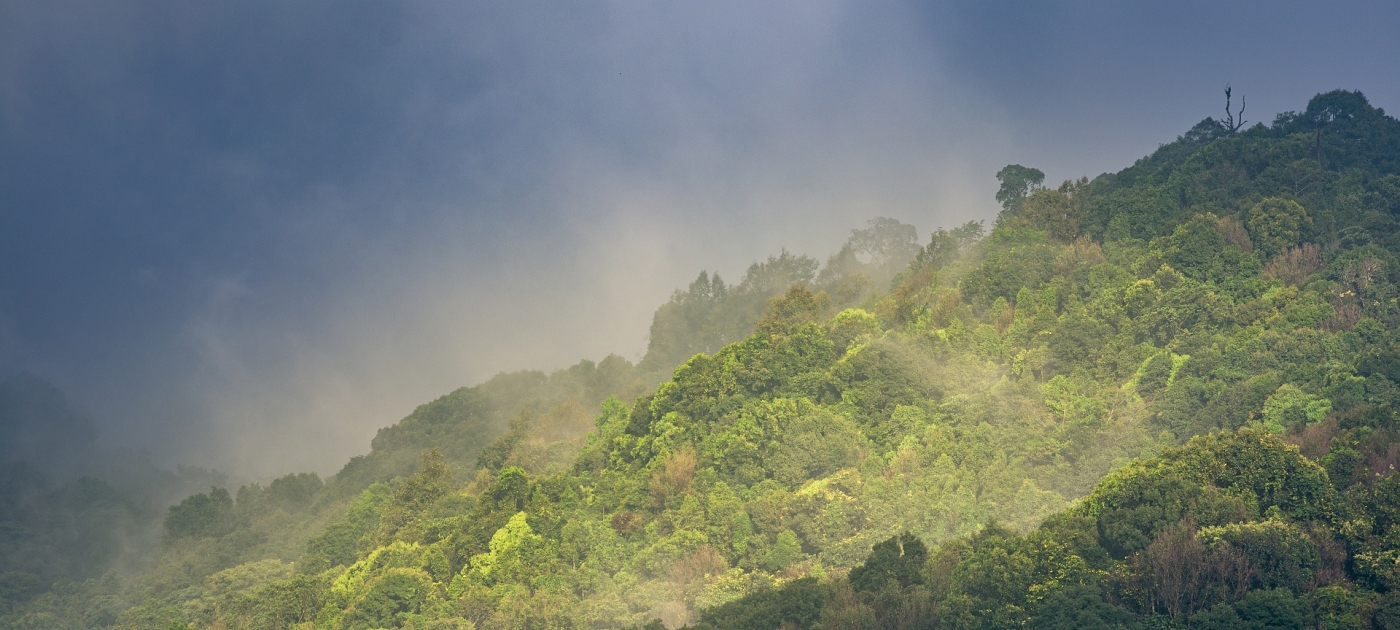 Joint Projects of the EANET with Participating Countries – Catchment Analysis in Thailand Thai forest by monsterpong09