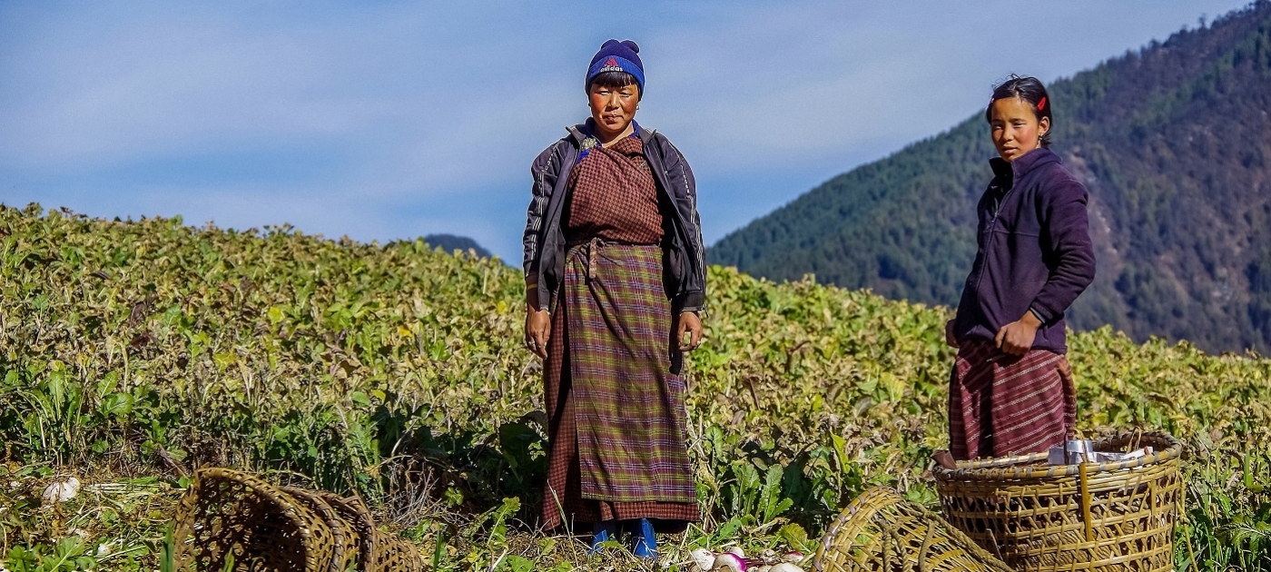 Why humanity needs to overhaul its food systems UNDP Bhutan, 2015