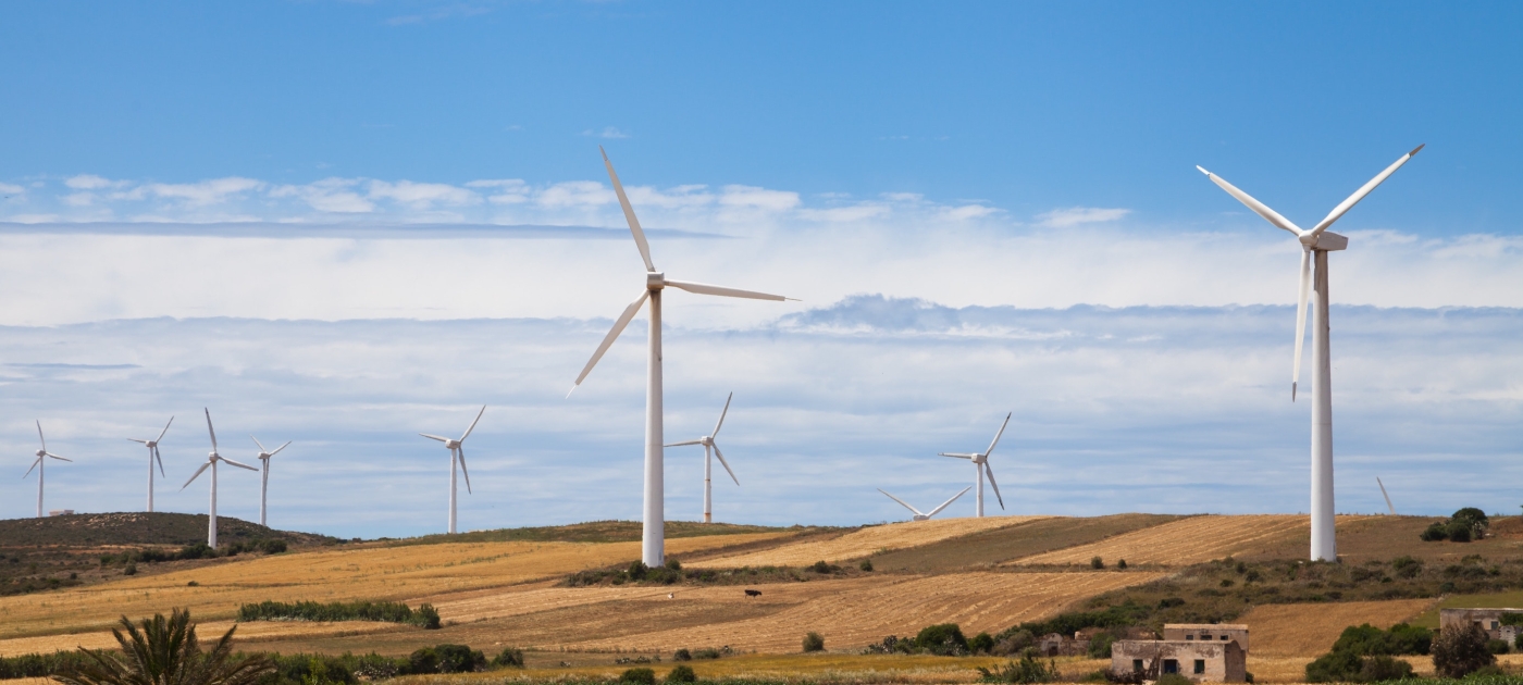 A green recovery in Africa is in the best interests of all Unsplash