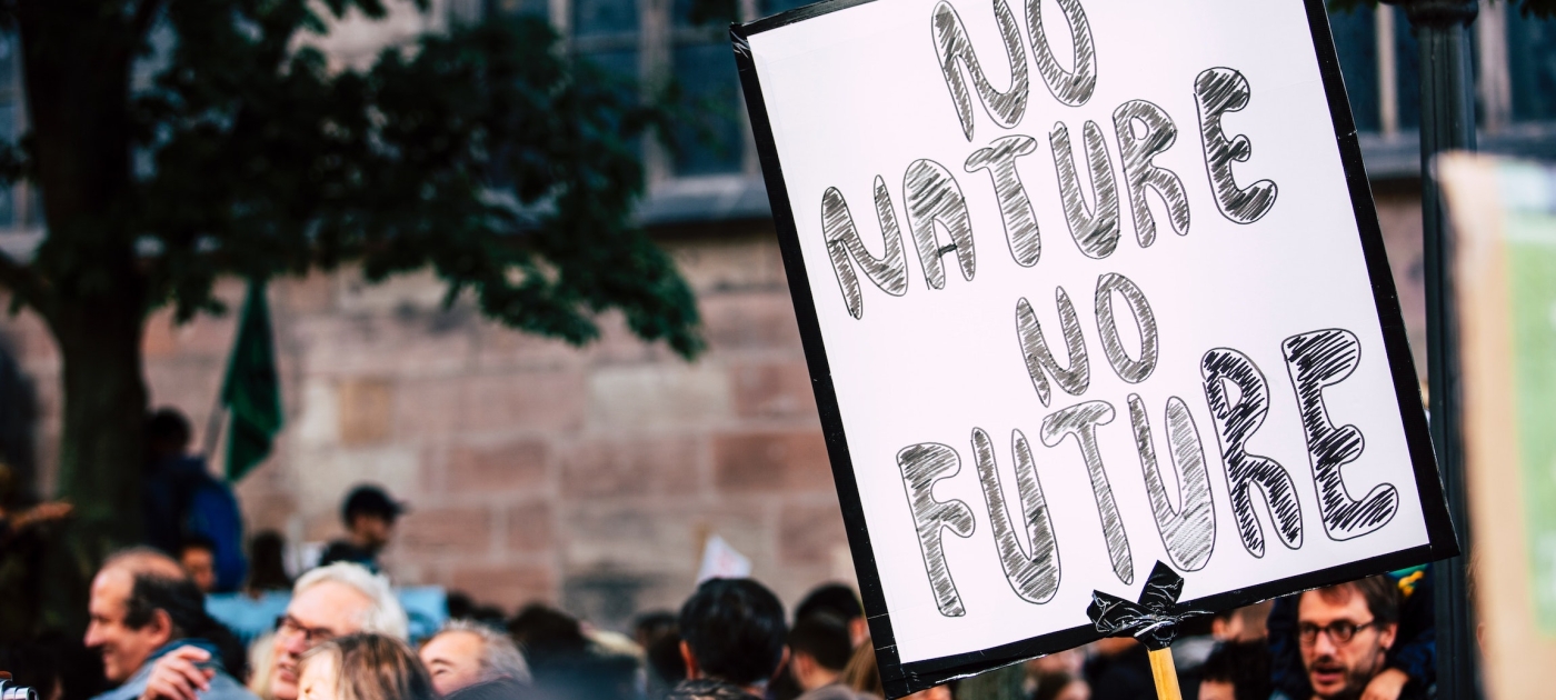 13 deberes de los Estados sobre derechos humanos y biodiversidad Unsplash / Markus Spiske