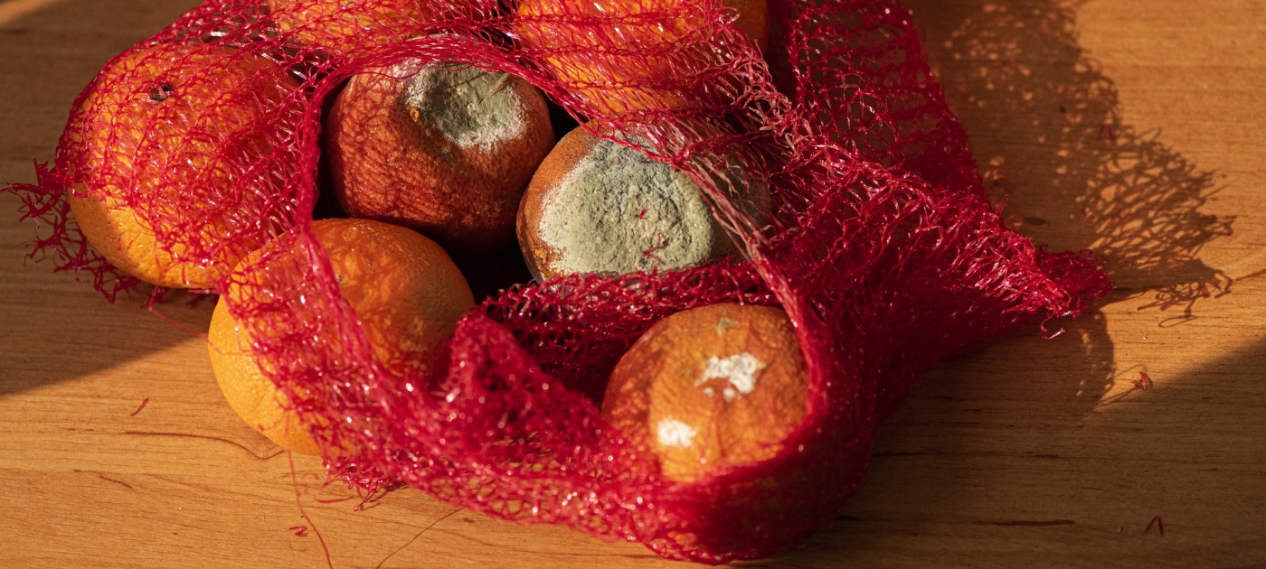 ONU pede mais ação contra a perda e o desperdício de alimentos em dia internacional Food waste: moulding oranges