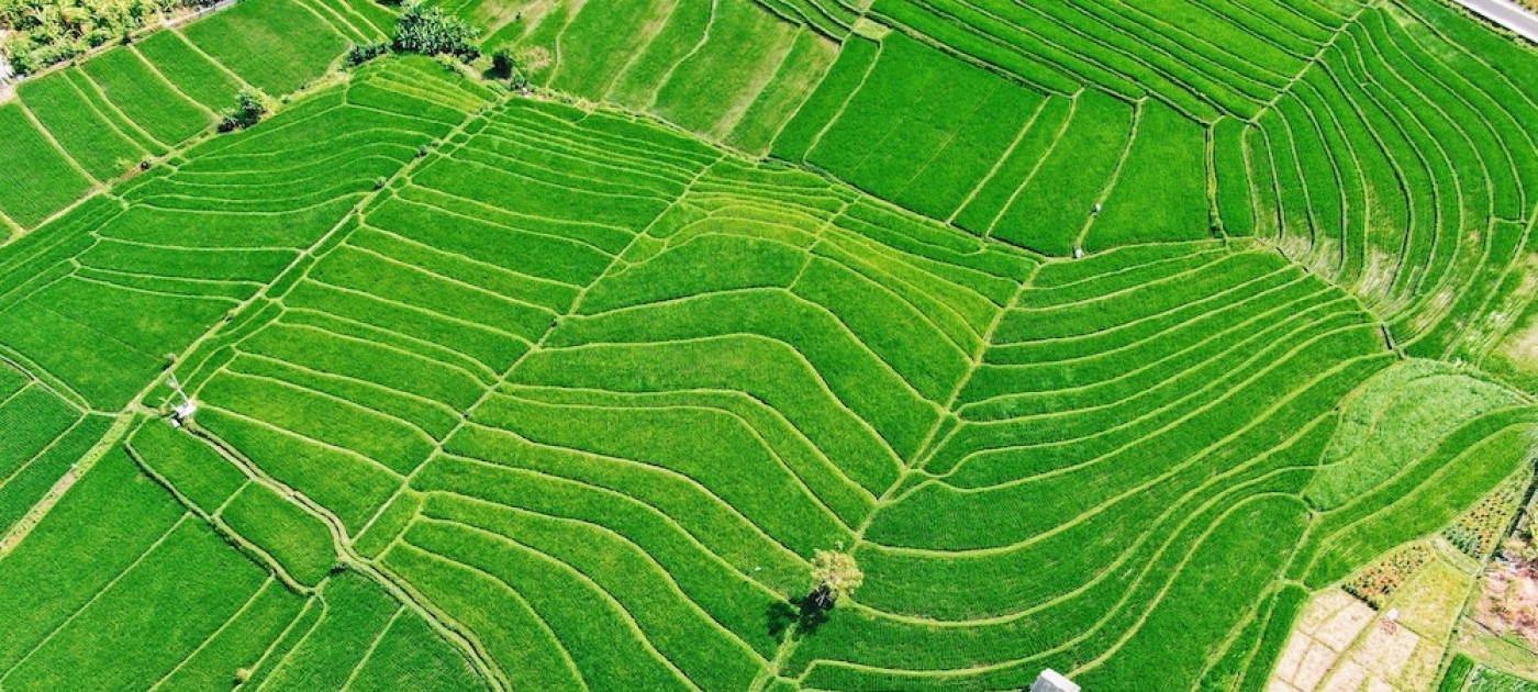 People, Food and Nature Unsplash