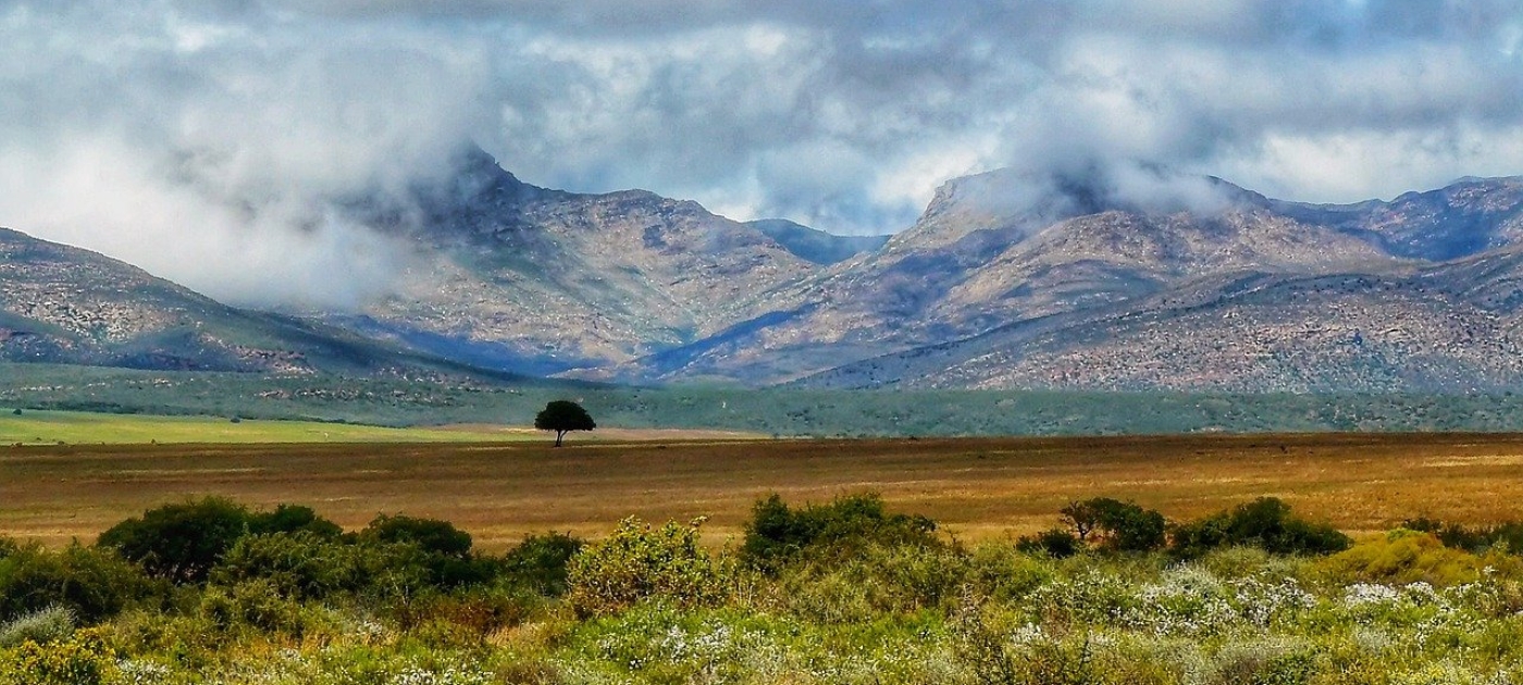La triple crise planétaire et la relance verte à l'ordre du jour de la Conférence ministérielle africaine sur l'environnement Pixabay