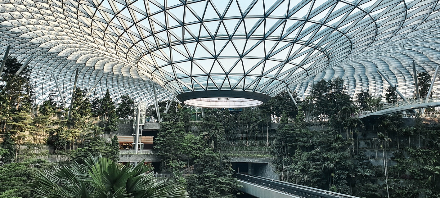 Circularity: a breakthrough strategy to tackle biodiversity loss Photo by Opticalnomad/Unsplash