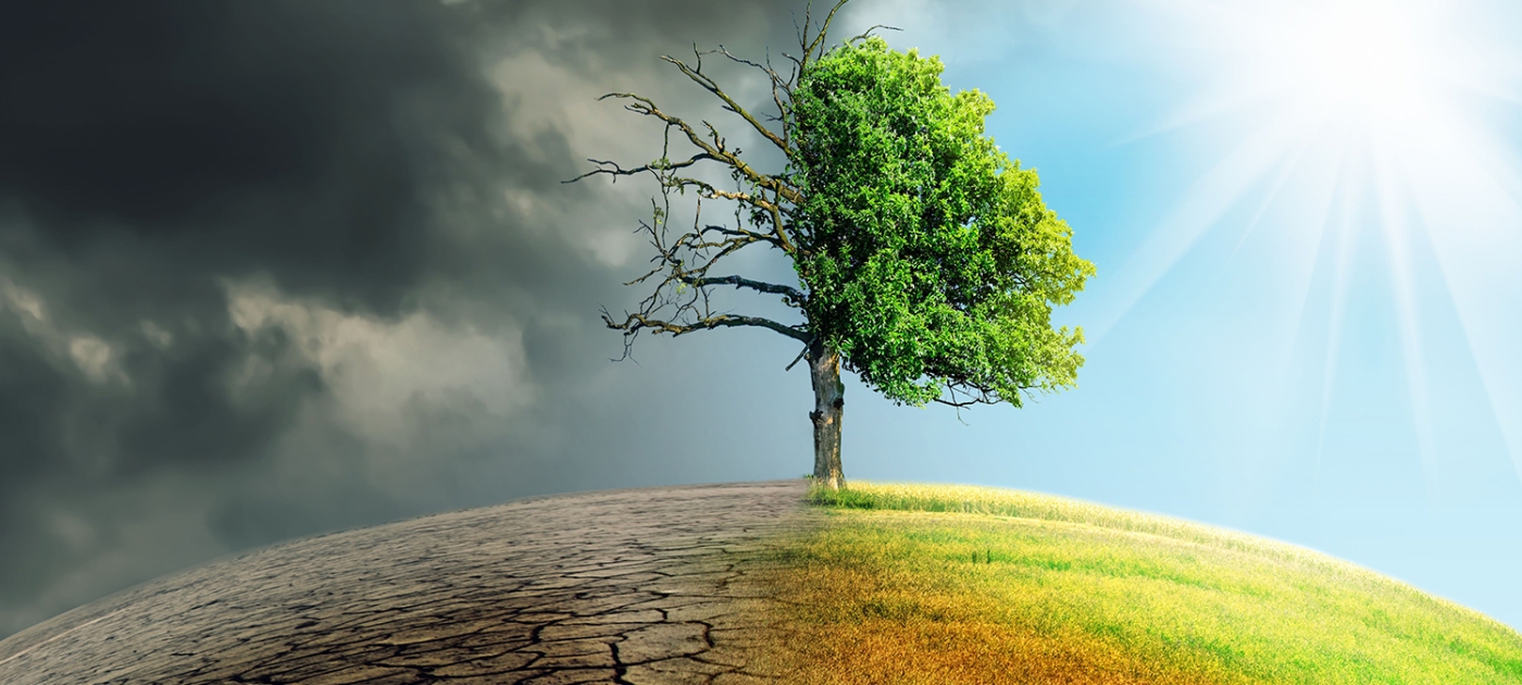 New guidelines to help states adapt to climate change Photo by Sepp Photography/Shutterstock