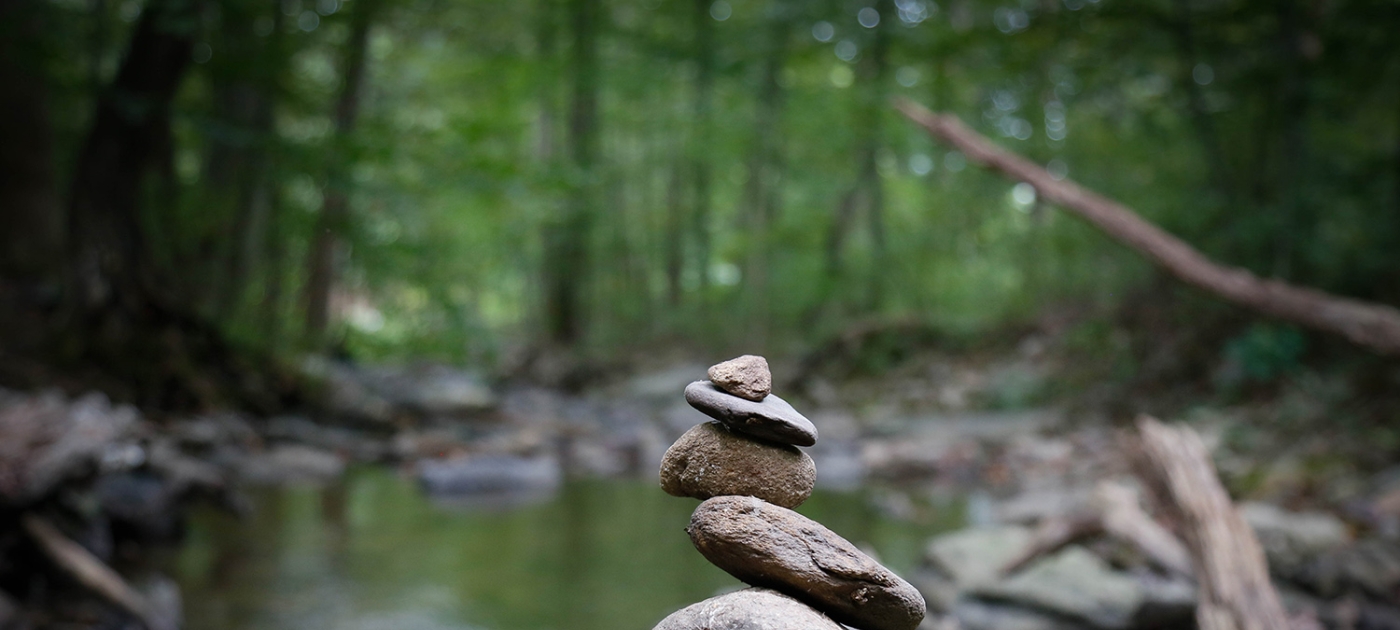 Working together for the common good Photo by Syed F Hashemi/ Unsplash
