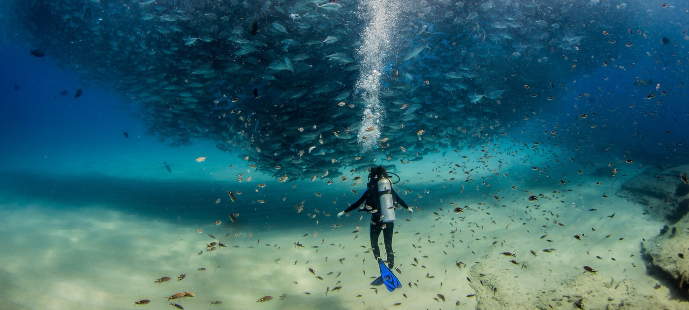 COP15 on biodiversity is our chance to get to a world we want Photo by Jeff Hester/Ocean Image Bank