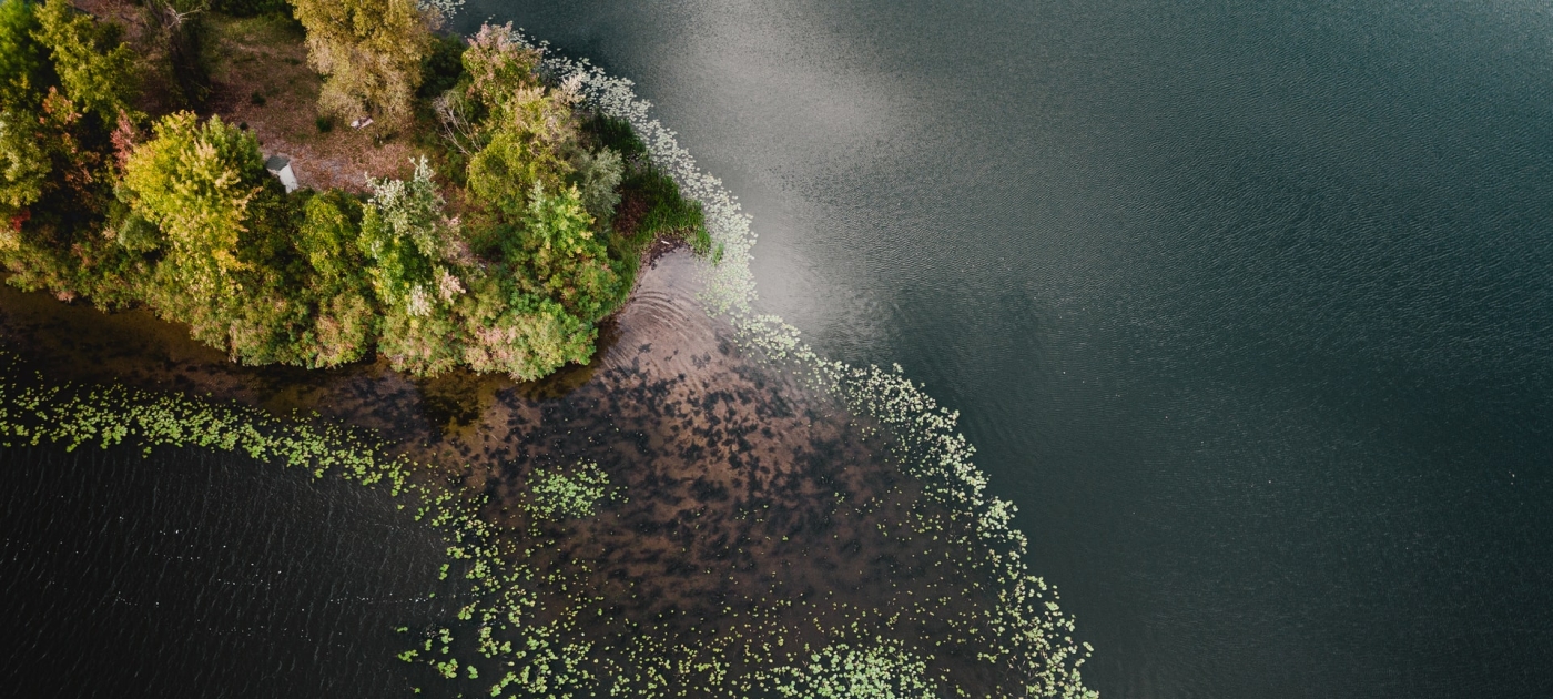 TNC e PNUMA formalizam parceria em prol da restauração de ecossistemas no Brasil