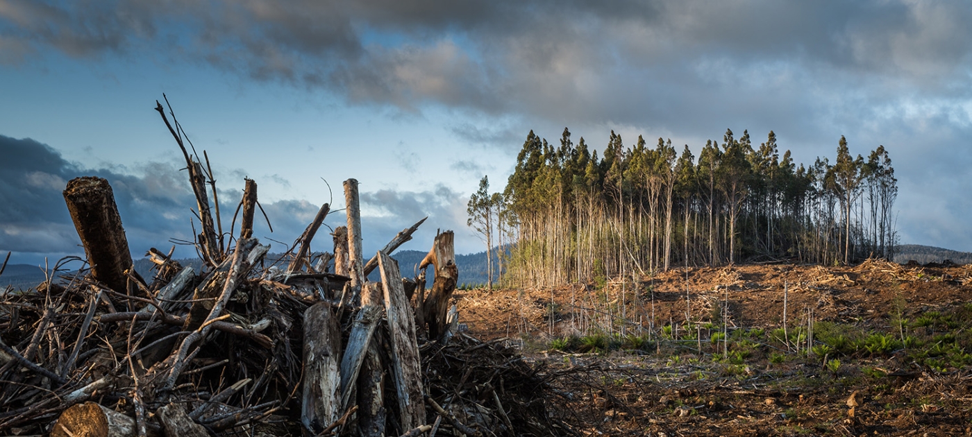 The case for climate action is closed. Time to act. Photo by Matt Palmer/ Unsplash