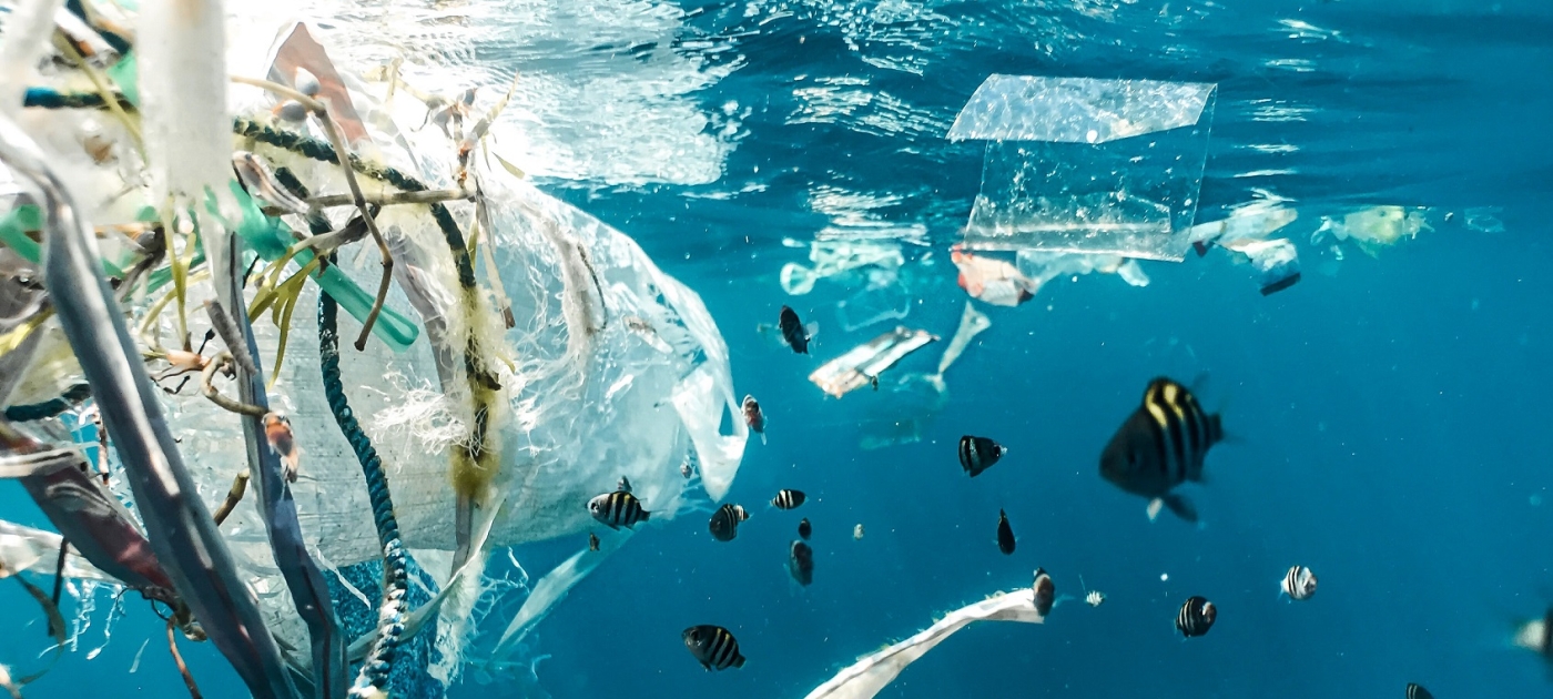 Une évaluation complète des déchets marins et de la pollution plastique met en garde contre les fausses solutions et confirme la nécessité de mesures urgentes sur le plan international. Naja Bertolt Jensen/Unsplash