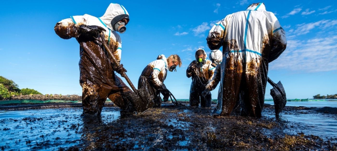 How to manage the damage from oil spills Photo by Shutterstock