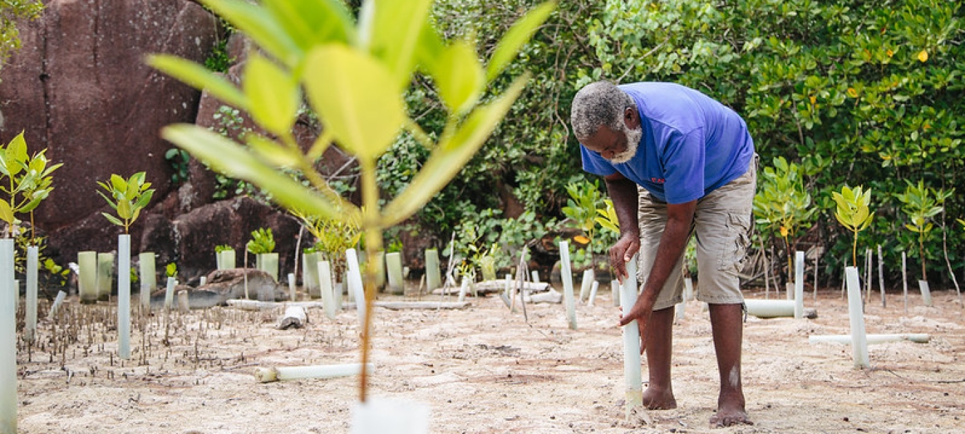What does COP26 mean for adaptation? UNEP