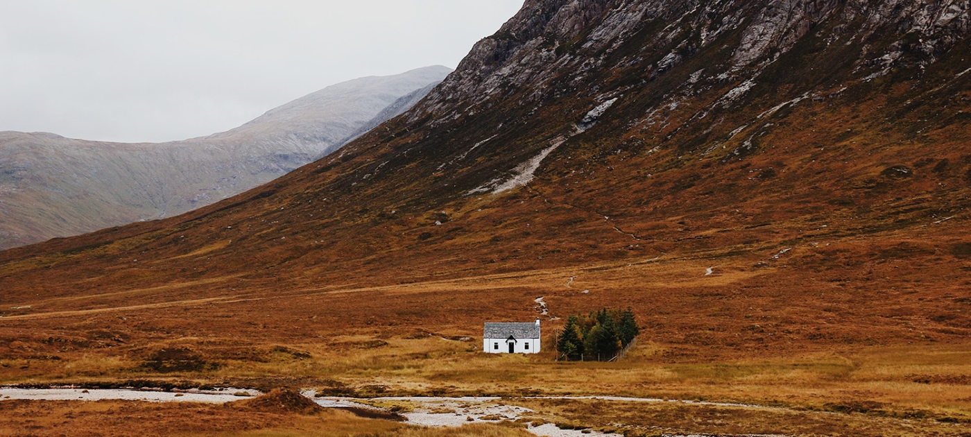 Торфяники в центре внимания КС 26 Фото Unsplash / Макс Херманссон