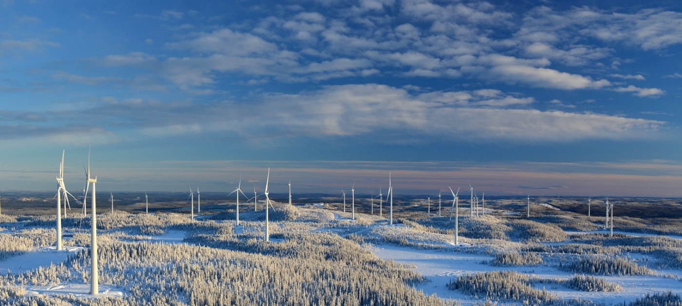 Suécia sediará o Dia Mundial do Meio Ambiente 2022, com tema “Uma Só Terra” Feher Istvan / Shutterstock
