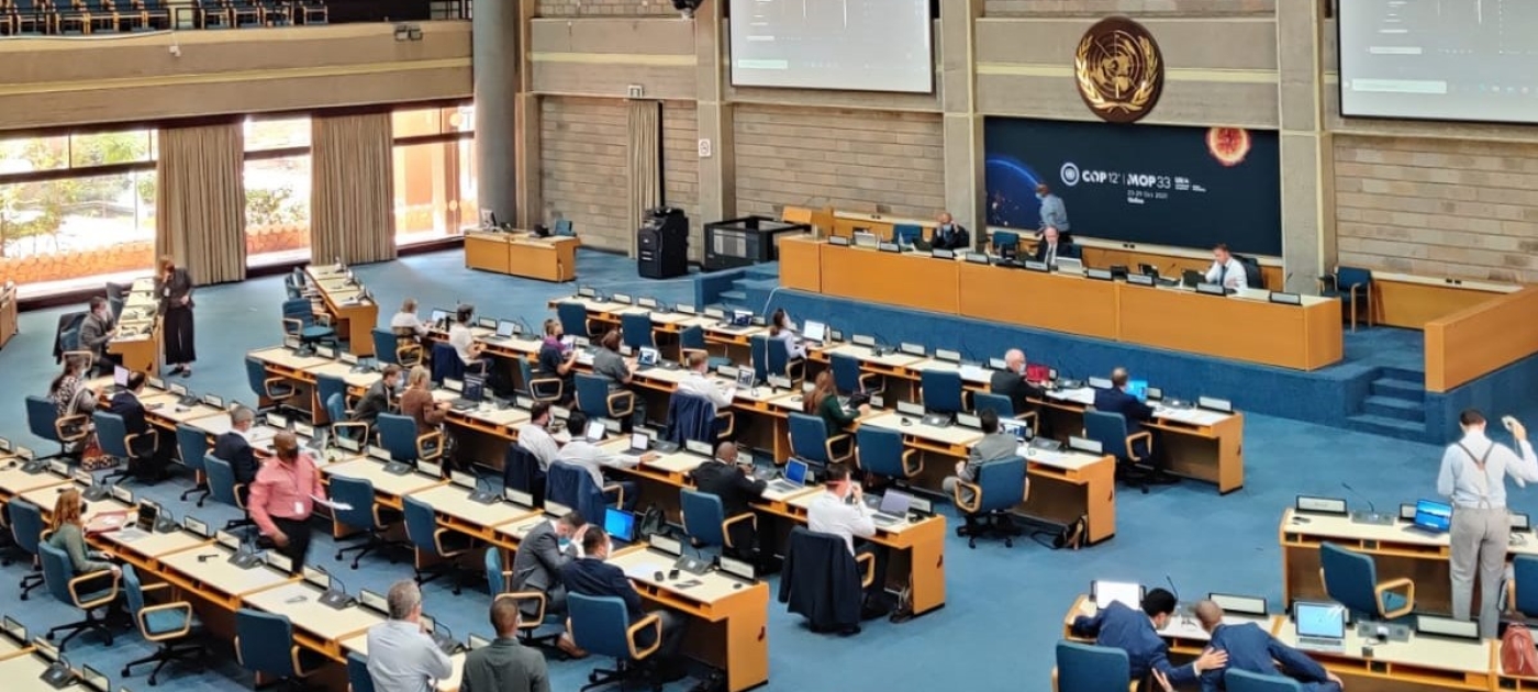 Environmental experts meet to plan the next UN Environment Assembly Photo: UNEP