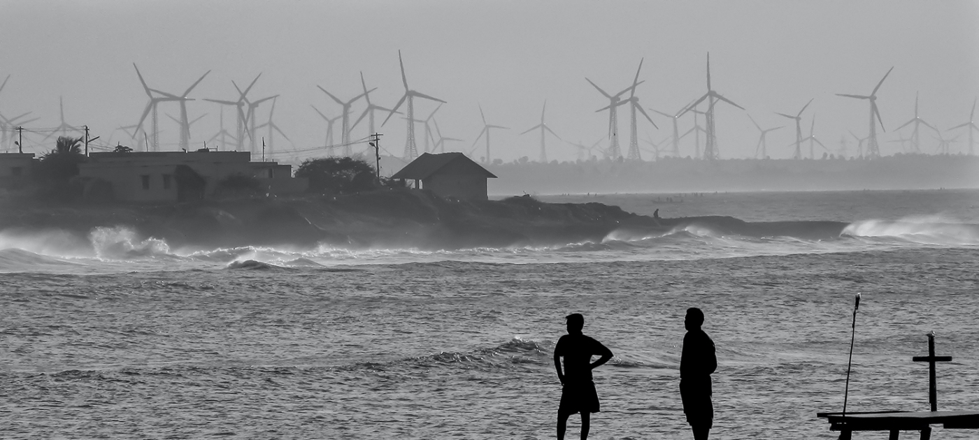 The business of sustainability: Opportunities for India Photo by Sunny Tank/ Unsplash