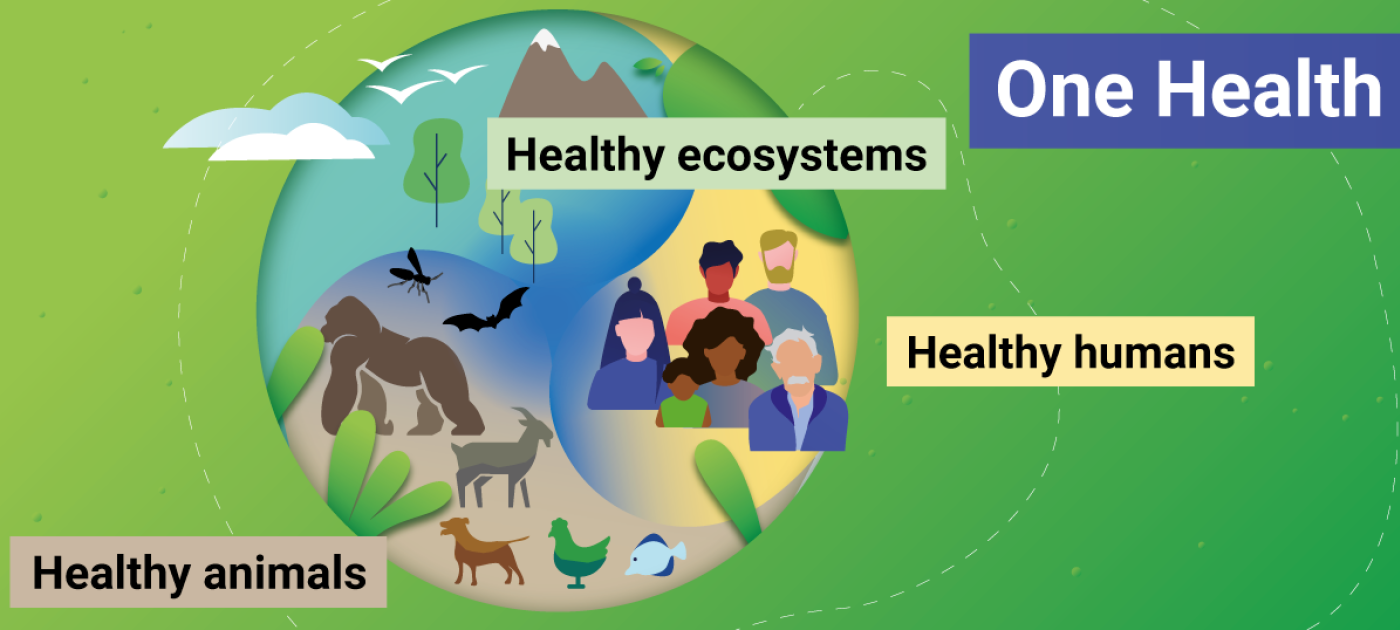 Joint tripartite and UNEP statement on definition of “One Health” UNEP