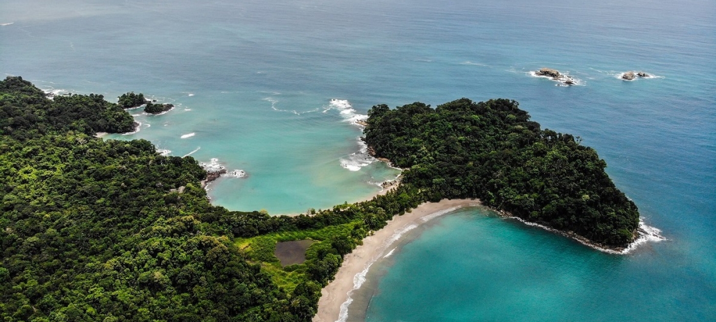 Ministros e ministras do meio ambiente da América Latina e Caribe fortalecem cooperação diante de crises ambientais globais Unsplash/Atanas Malamov