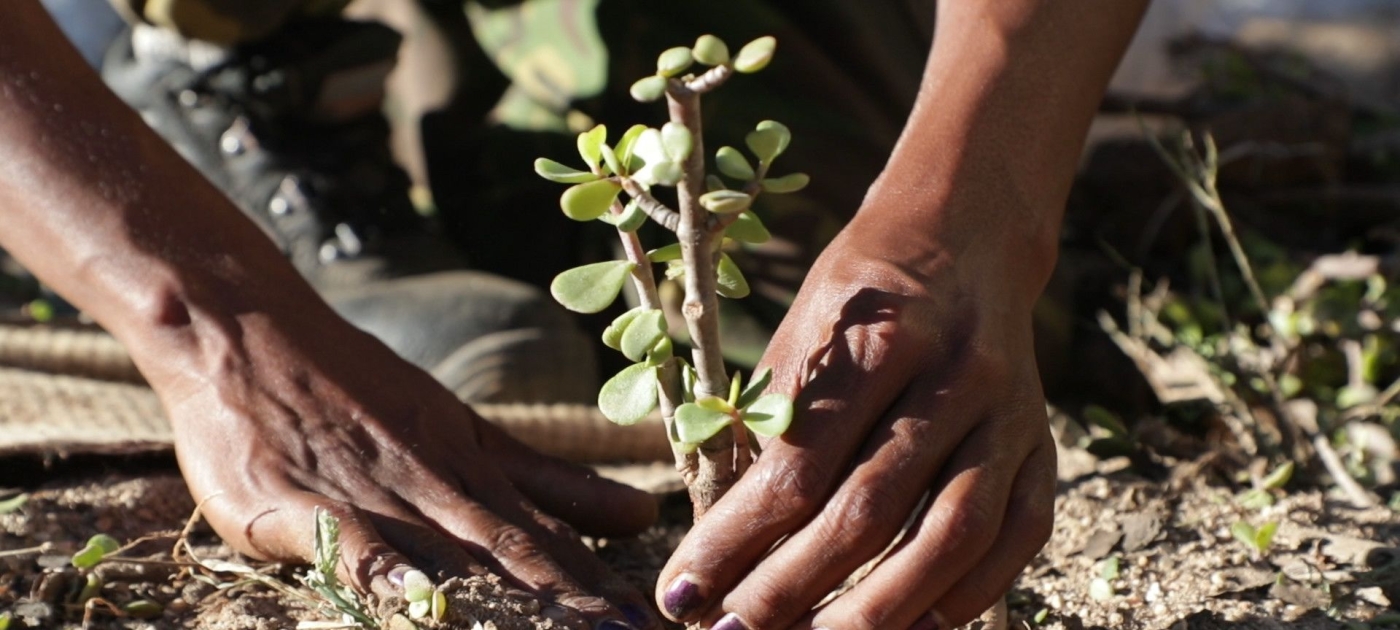 How plastic is infiltrating the world’s soils UNEP / Florian Fussstetter