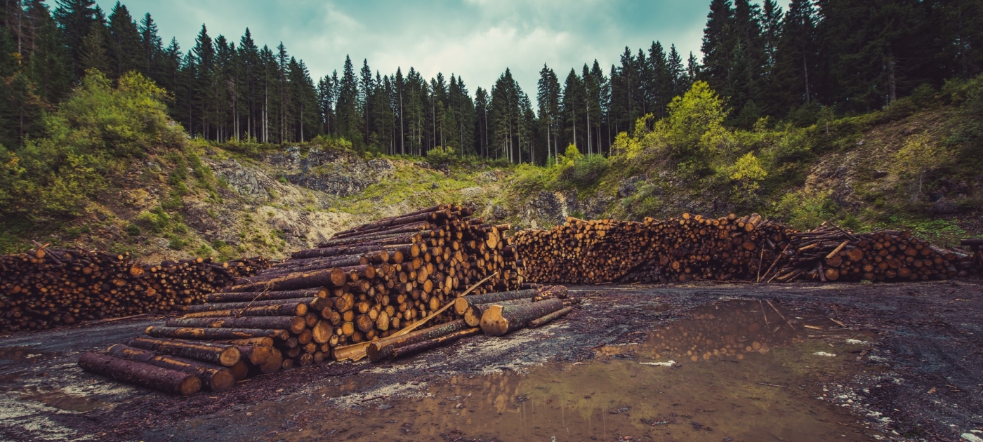 Environmental crime and the SDGs Photo by Unsplash/ Ales Krivec
