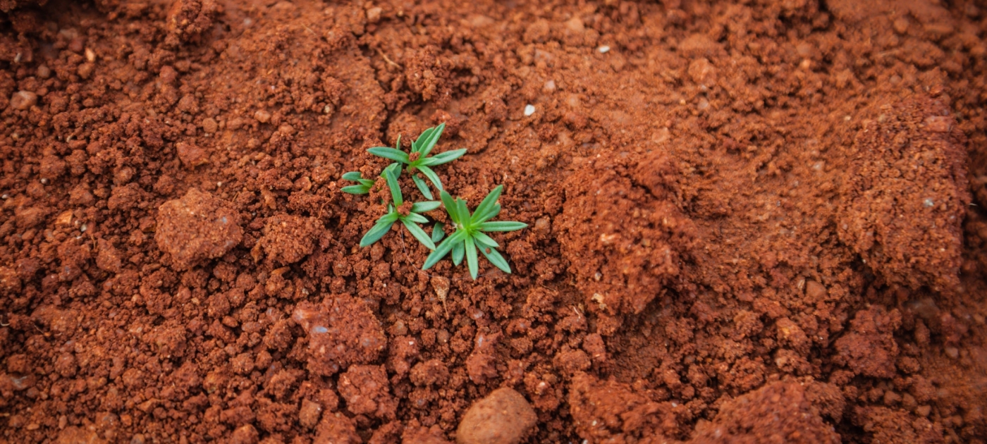 Los microplásticos también están contaminando nuestros suelos #