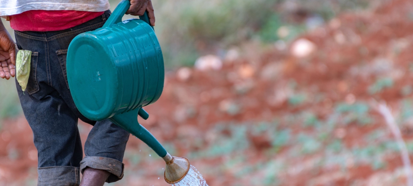 En Jamaica, los agricultores luchan contra los efectos de un clima cambiante Photo: Shutterstock