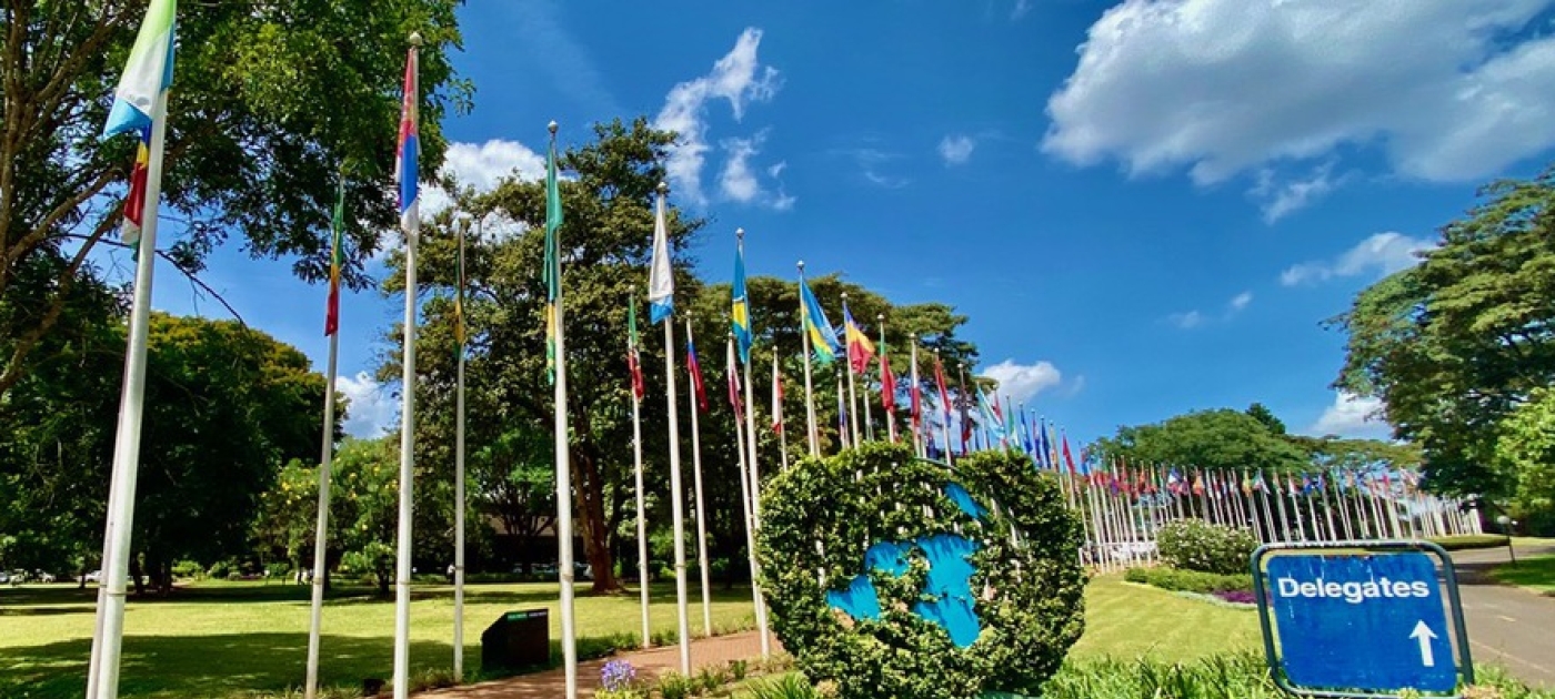Resumed segment of UNEA-5 to address chemicals, marine plastics, green recovery Photo: UNEP