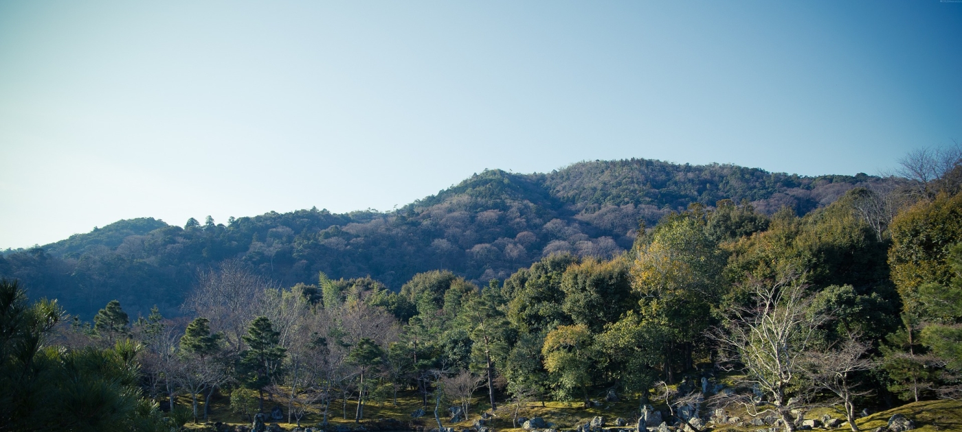 G20 leadership required to catalyze private capital inflow for nature-based solutions Pixabay/Accessed 27 January 2022