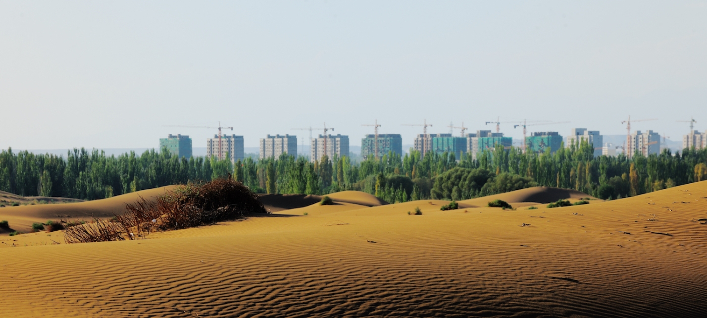 From Chile to China: The global battle against desertification Photo: Reuters Connect