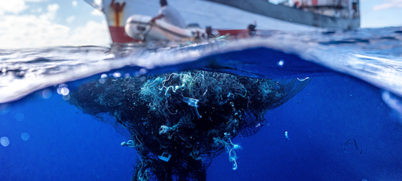 World leaders set sights on plastic pollution Ocean Voyages Institute/Cover Im via Reuters Connect