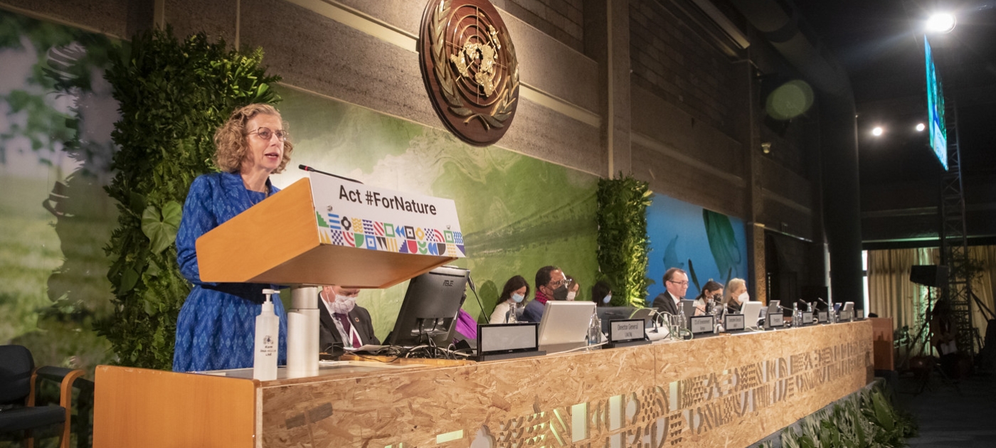 Safeguarding sustainable development: the fifth UN Environment Assembly Photo by UNEP
