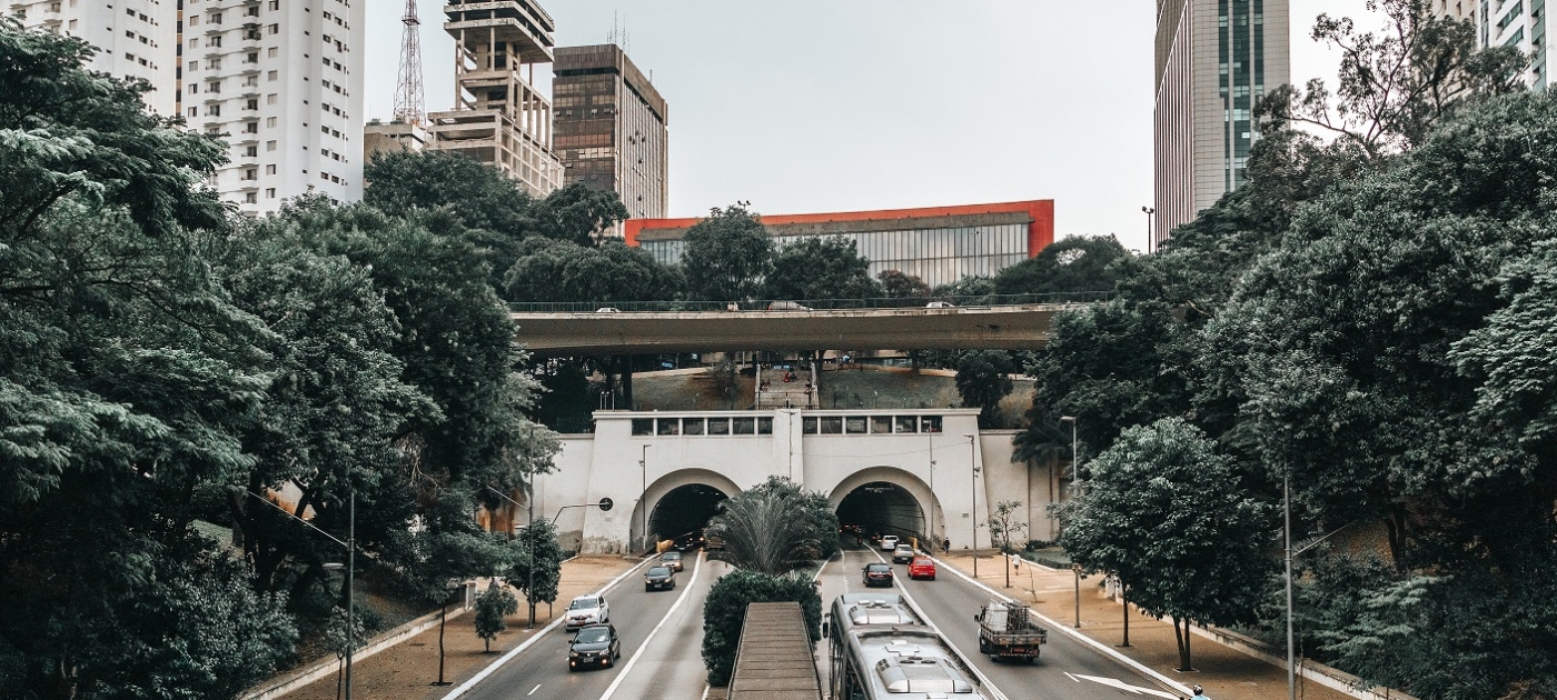 Cities and Regions Summit boosts nature and urban food solutions ahead of UN Environment Assembly Photo by C. Cagnin/Pexels Accessed 24 Feb 2022