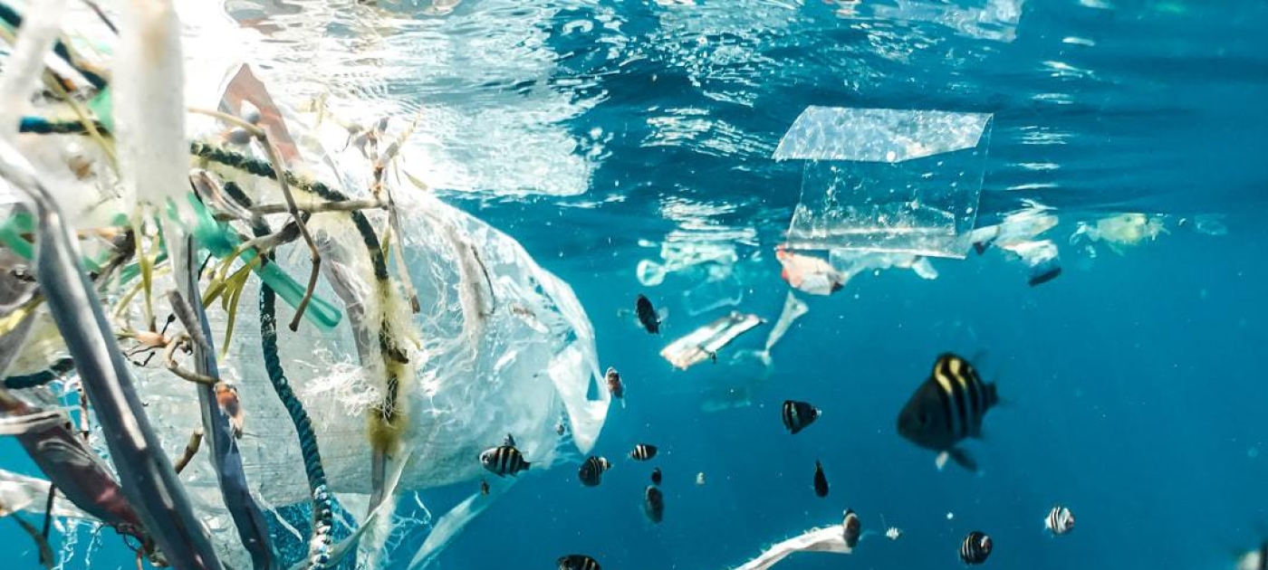 UN Environment Assembly to tackle plastics, green recovery and chemicals Photo: Unsplash