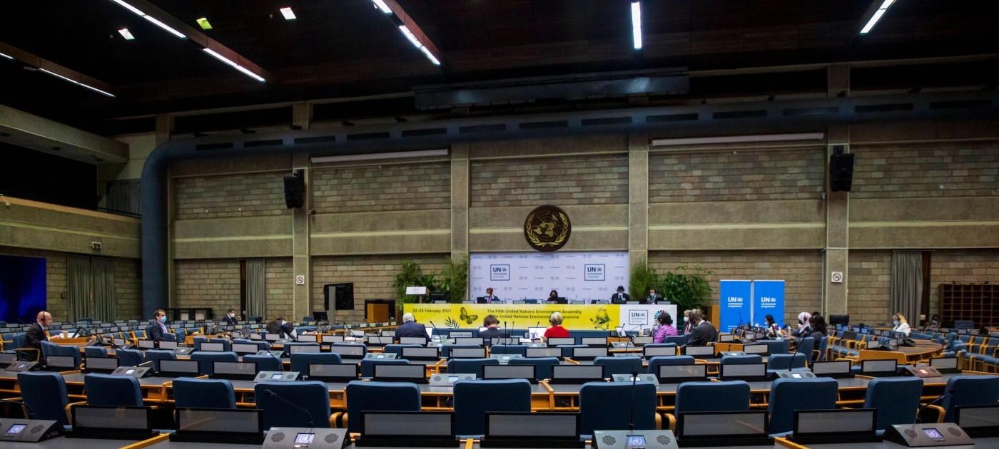 What is the United Nations Environment Assembly? Photo: UNEP
