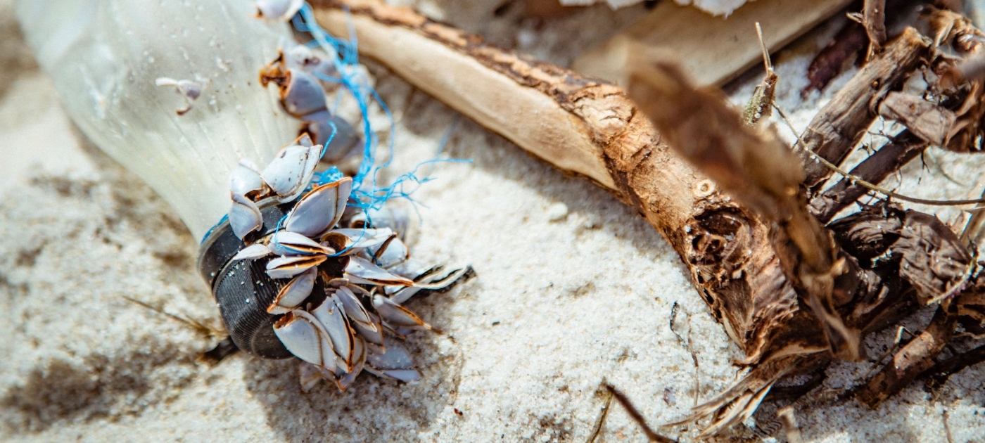 Marine litter