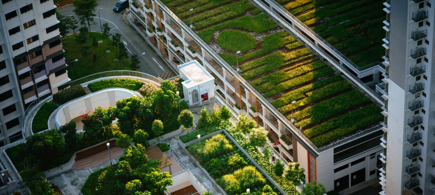 To counter environmental perils, cities turn to nature Unsplash / Chuttersnap