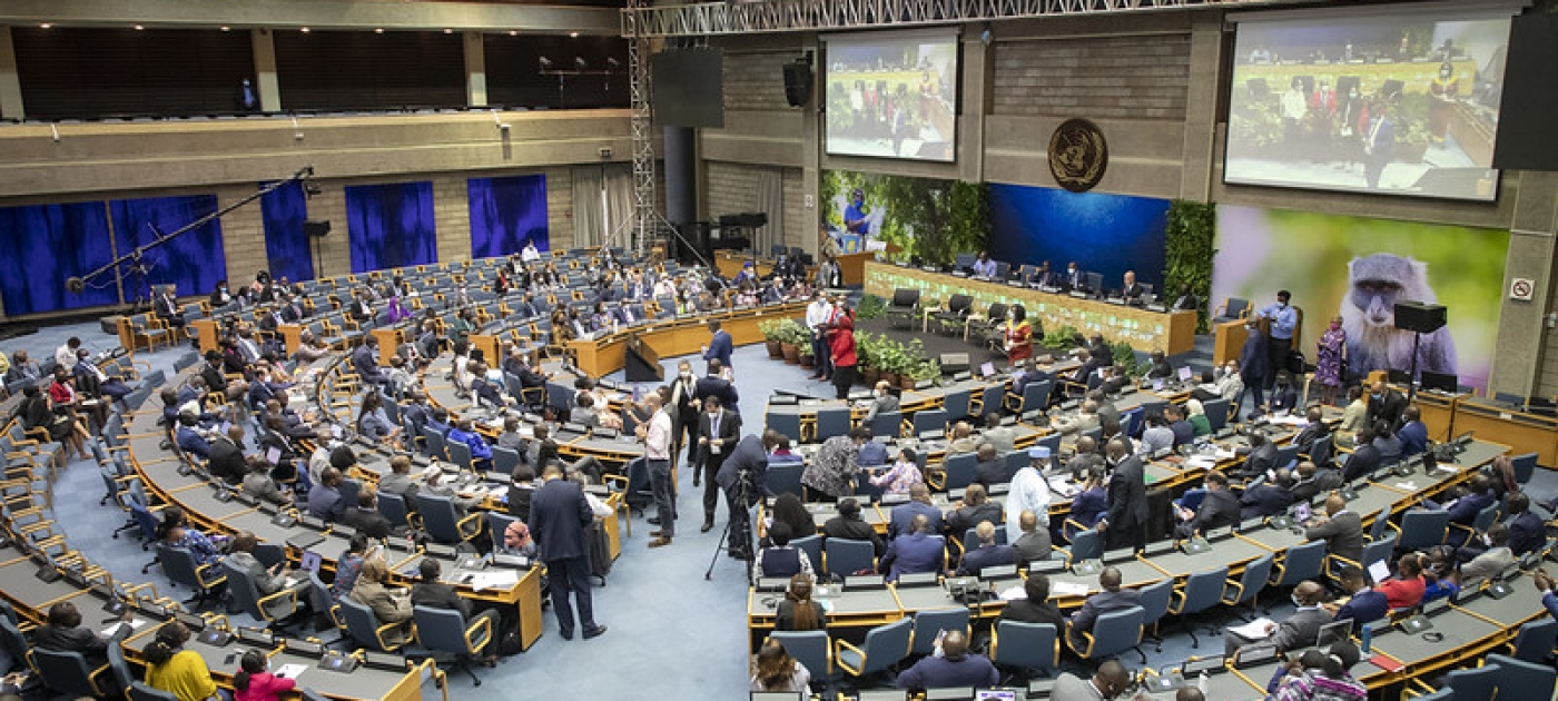 One people, one planet; in peace Photo by UNEP