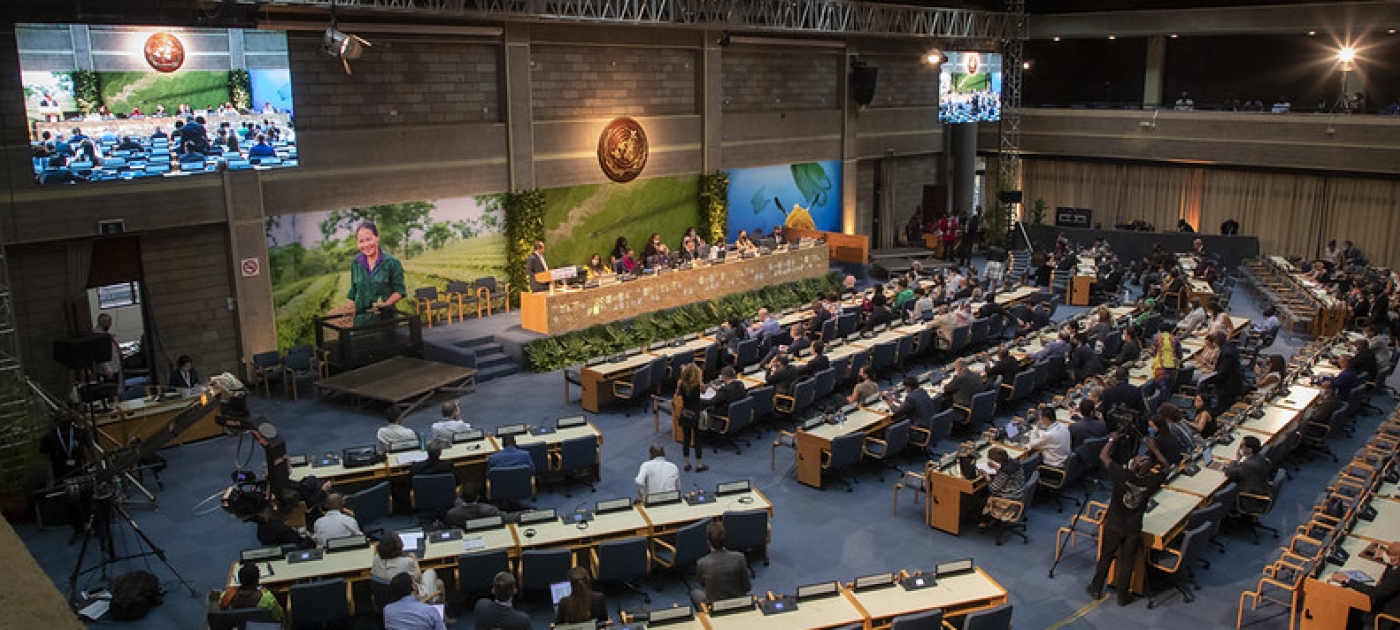 UN Environment Assembly concludes with 14 resolutions to curb pollution, protect and restore nature worldwide UNEP