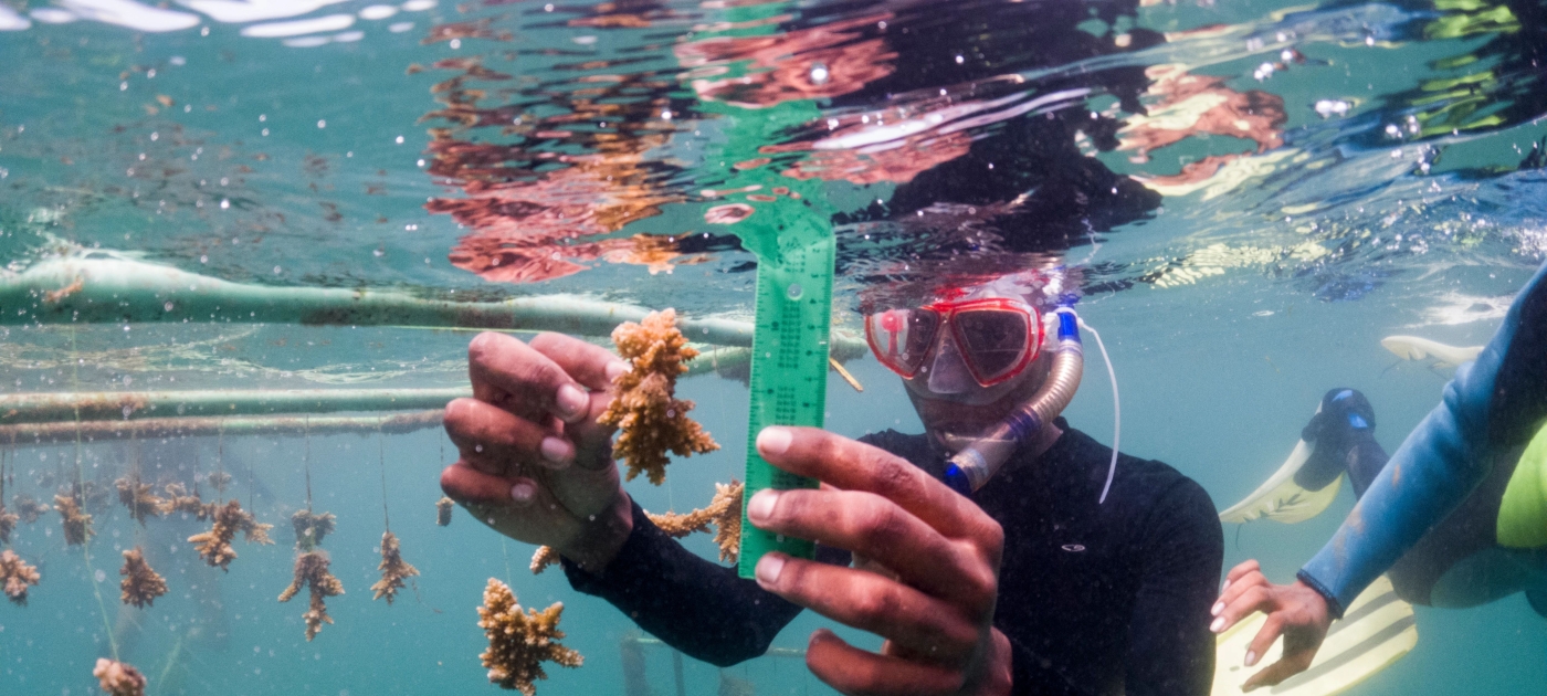 Public nominations open for UNEP’s Champions of the Earth Award 2022 UNEP/Stephanie Foote