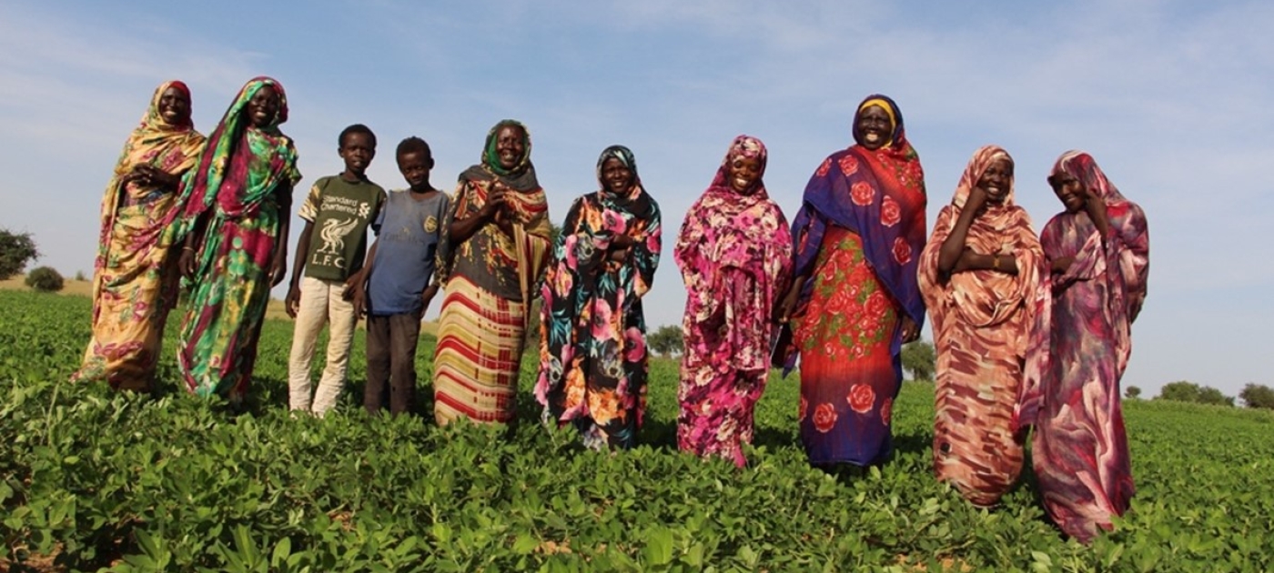 In Darfur, women farmers tackle a rapidly changing climate Photo: UNEP