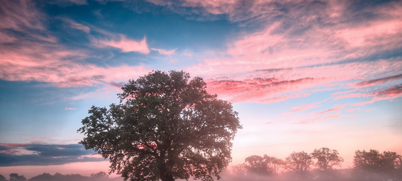 UN to honour most promising initiatives to restore nature Pixabay