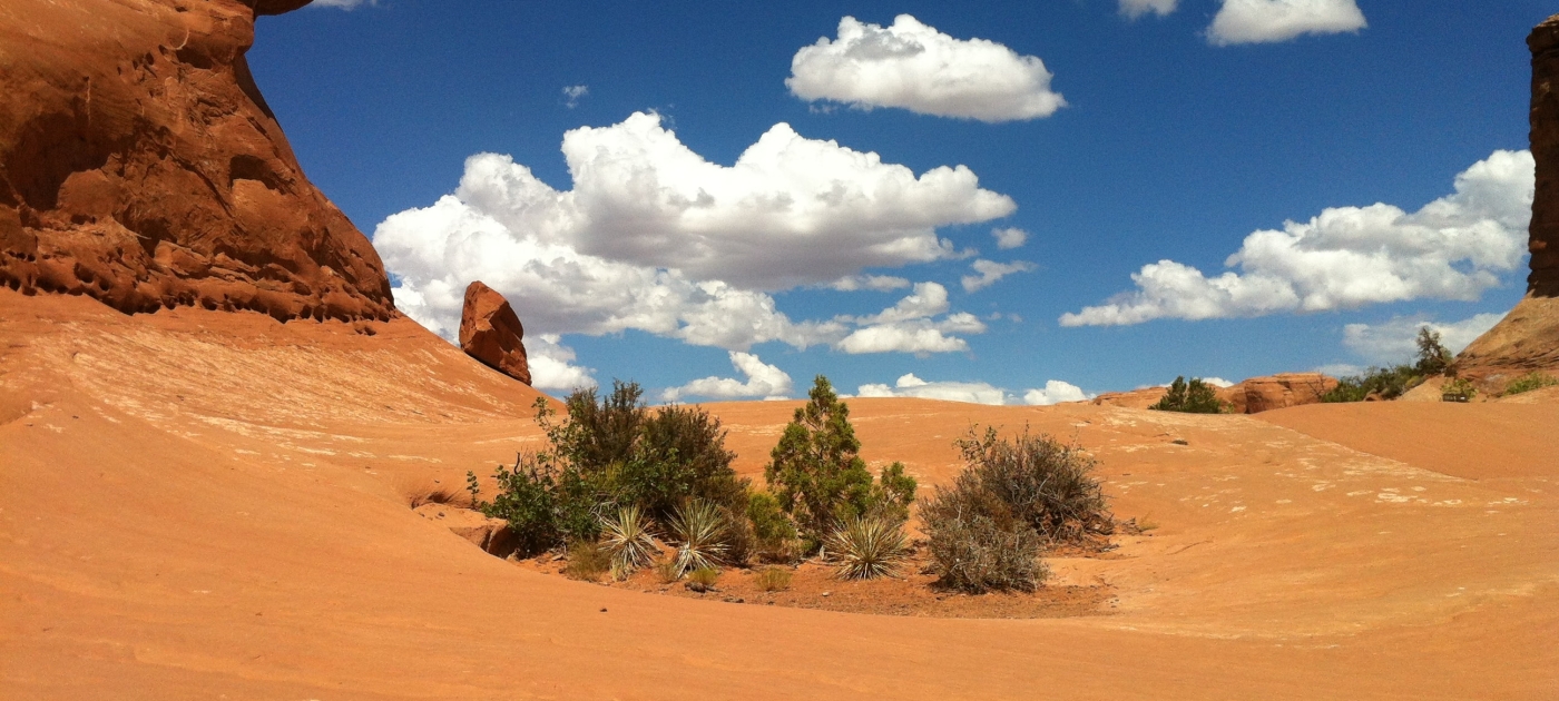 A new science-policy interface for UNEP at 50 Photo by Jennifer Miller/ Unsplash