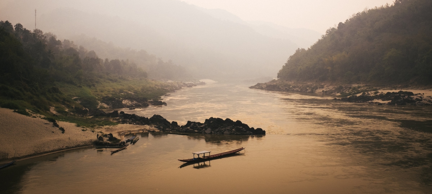 New campaign targets illegal rosewood logging in the Lower Mekong basin Unsplash/Parkerhilton
