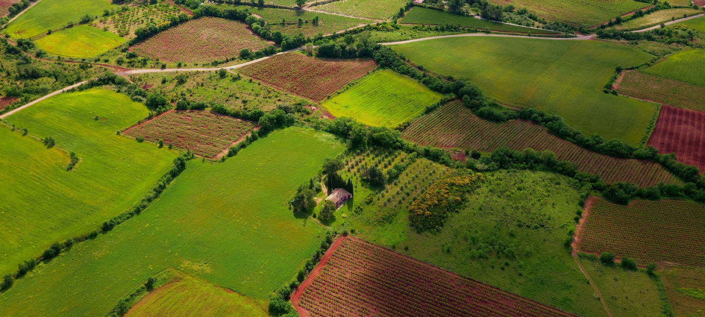 UNEP launches new sustainable land use finance impact directory Gautier Pfeiffer/Unsplash